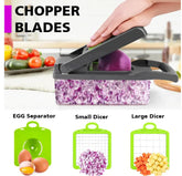 16-in-1 Multifunctional Vegetable Cutter & Slicer – Kitchen Tool with Interchangeable Blades